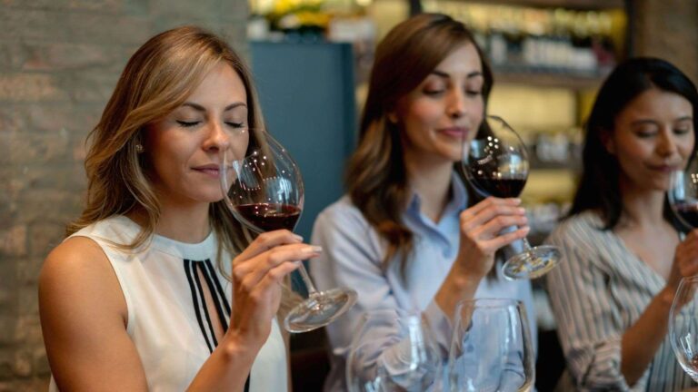 Wine tourism in Bordeaux
