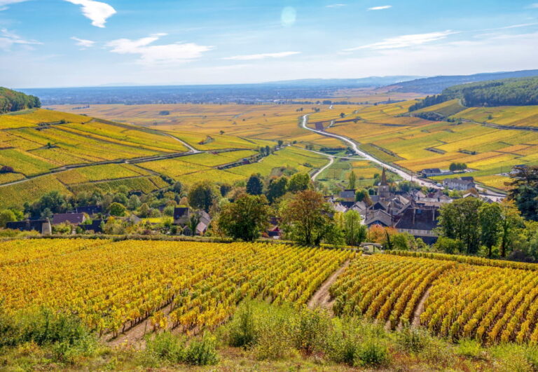Vignobles et paysages de Bourgogne Vézelay