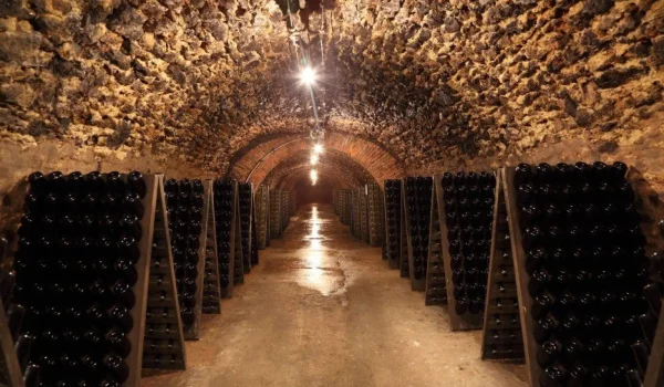 Cave de Région Champagne