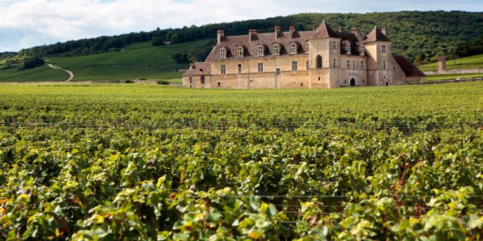 Wine tourism Bordeaux