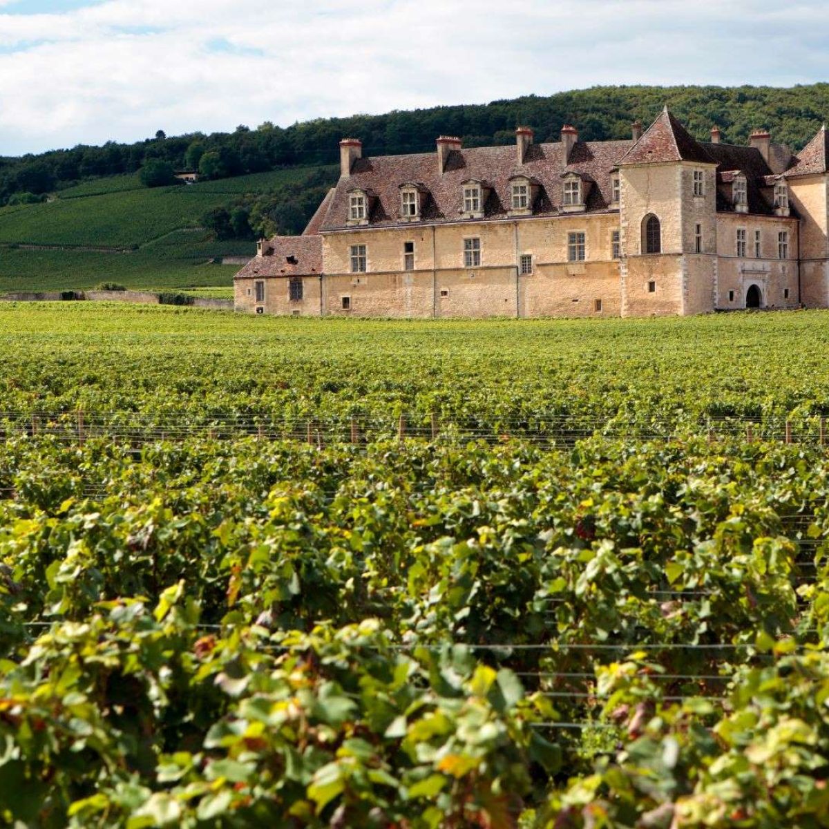 Wine tourism Bordeaux